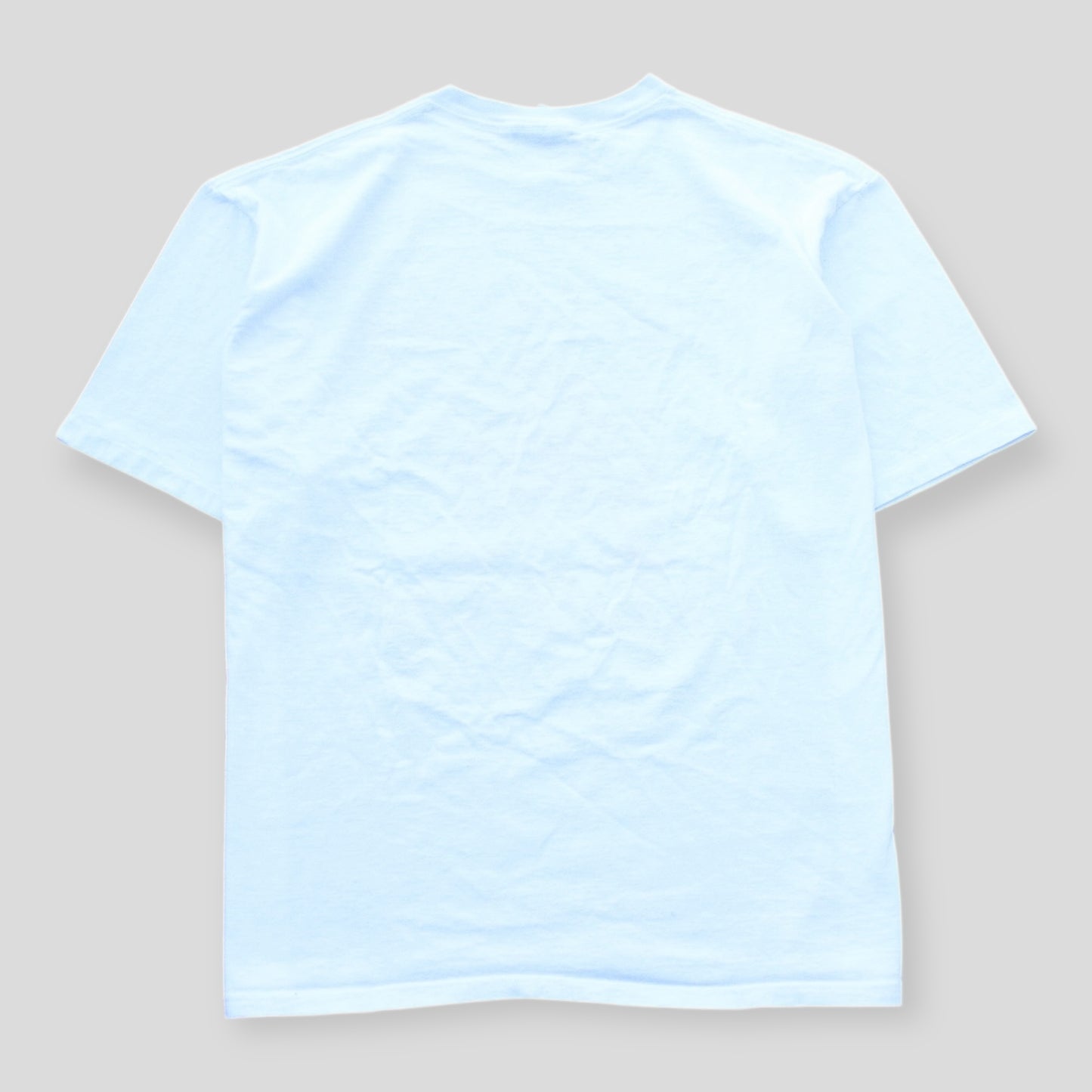 1994 NCAA Final Four Champions Beautifully Aged - L