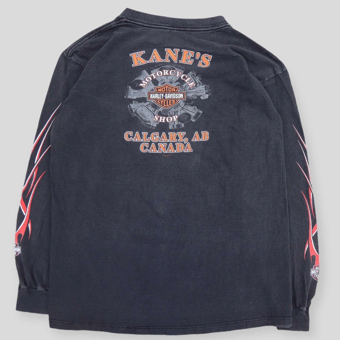 Harley Davidson long sleeve hit - XL