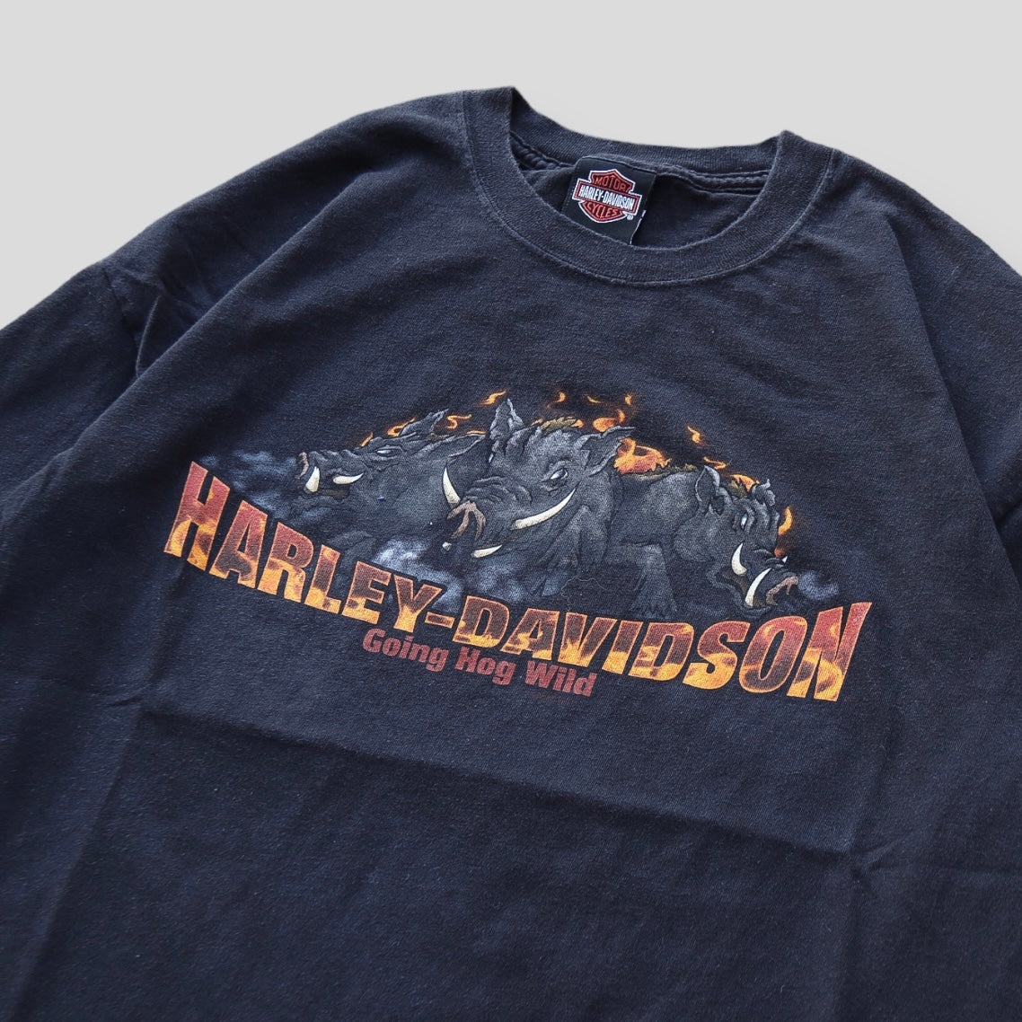 Harley Davidson going hog wild - XL