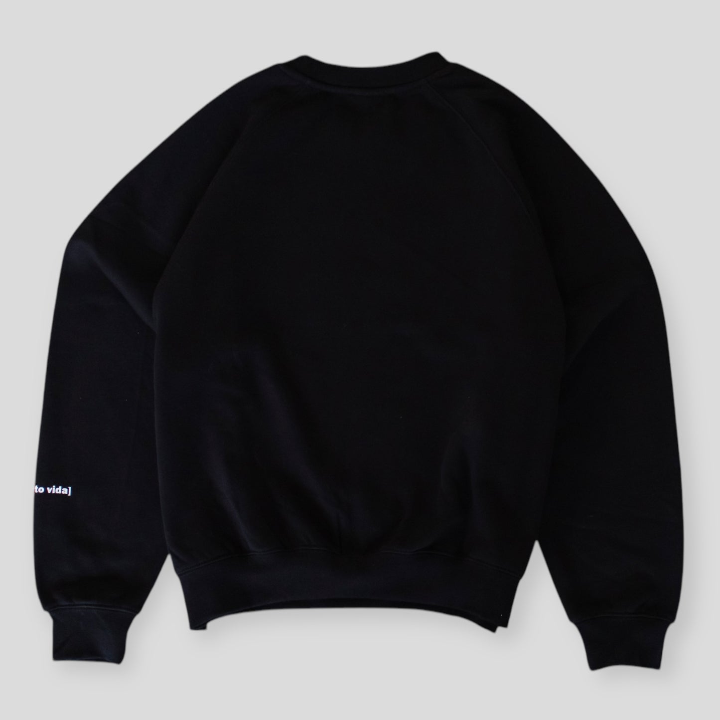 BTV ARKANSAS SKATER CREWNECK