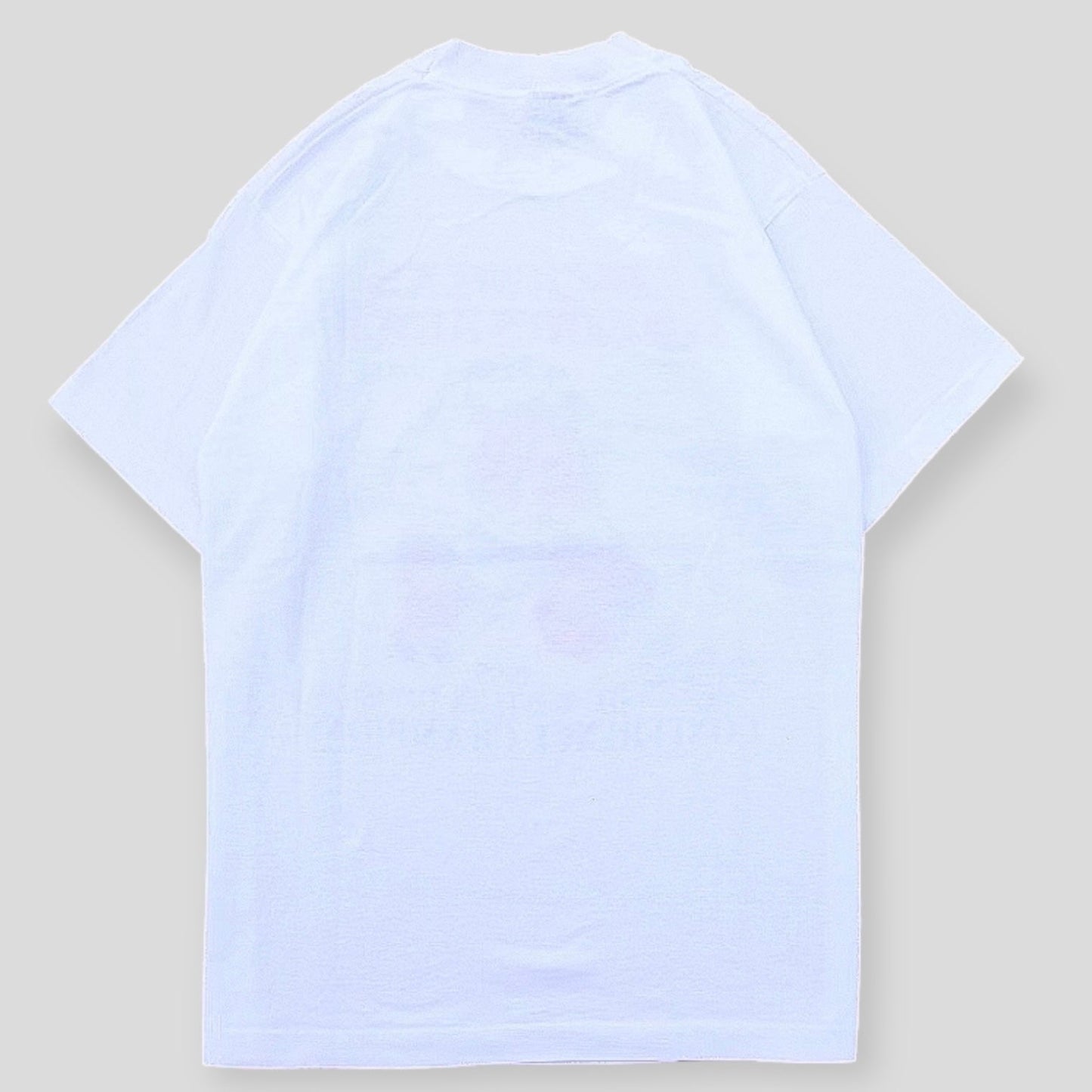 1995 Razorbacks SEC Western Division Conference champions - backtovida