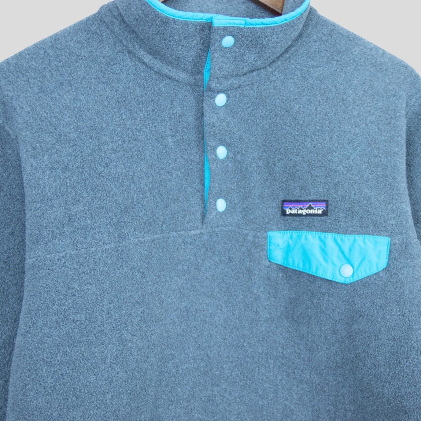 Patagonia Synchilla Fleece Pullover - backtovida