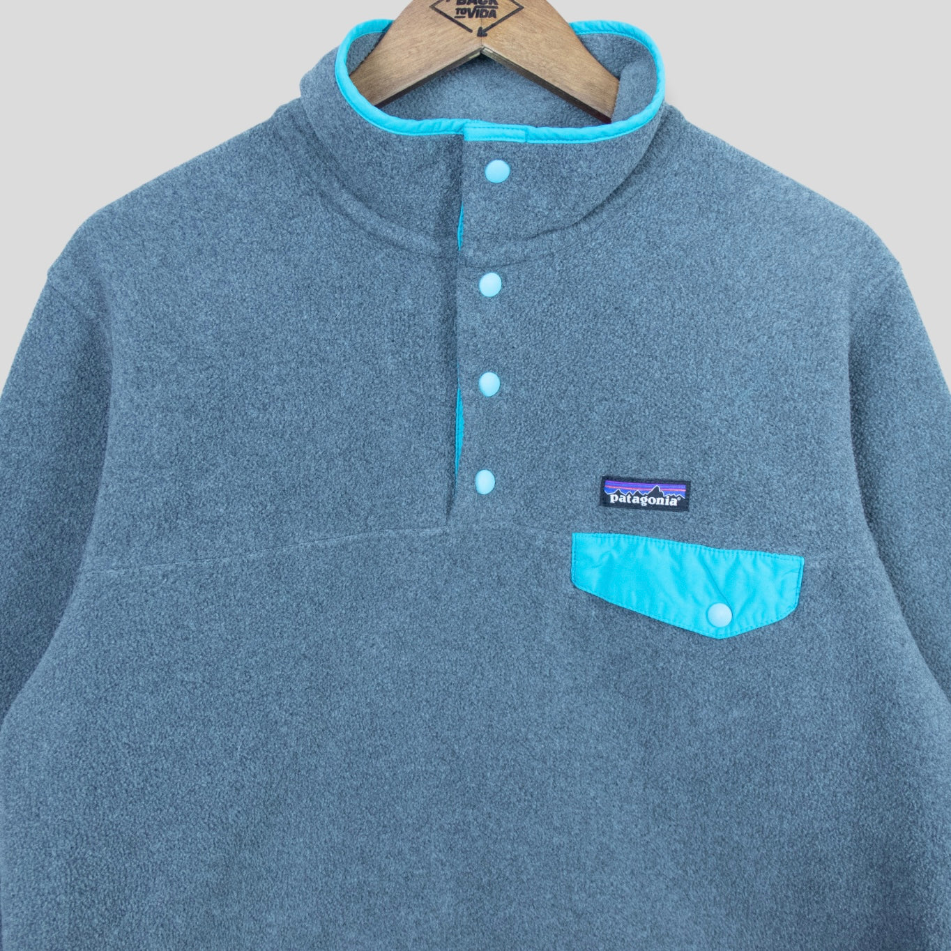 Patagonia Synchilla Fleece Pullover - backtovida