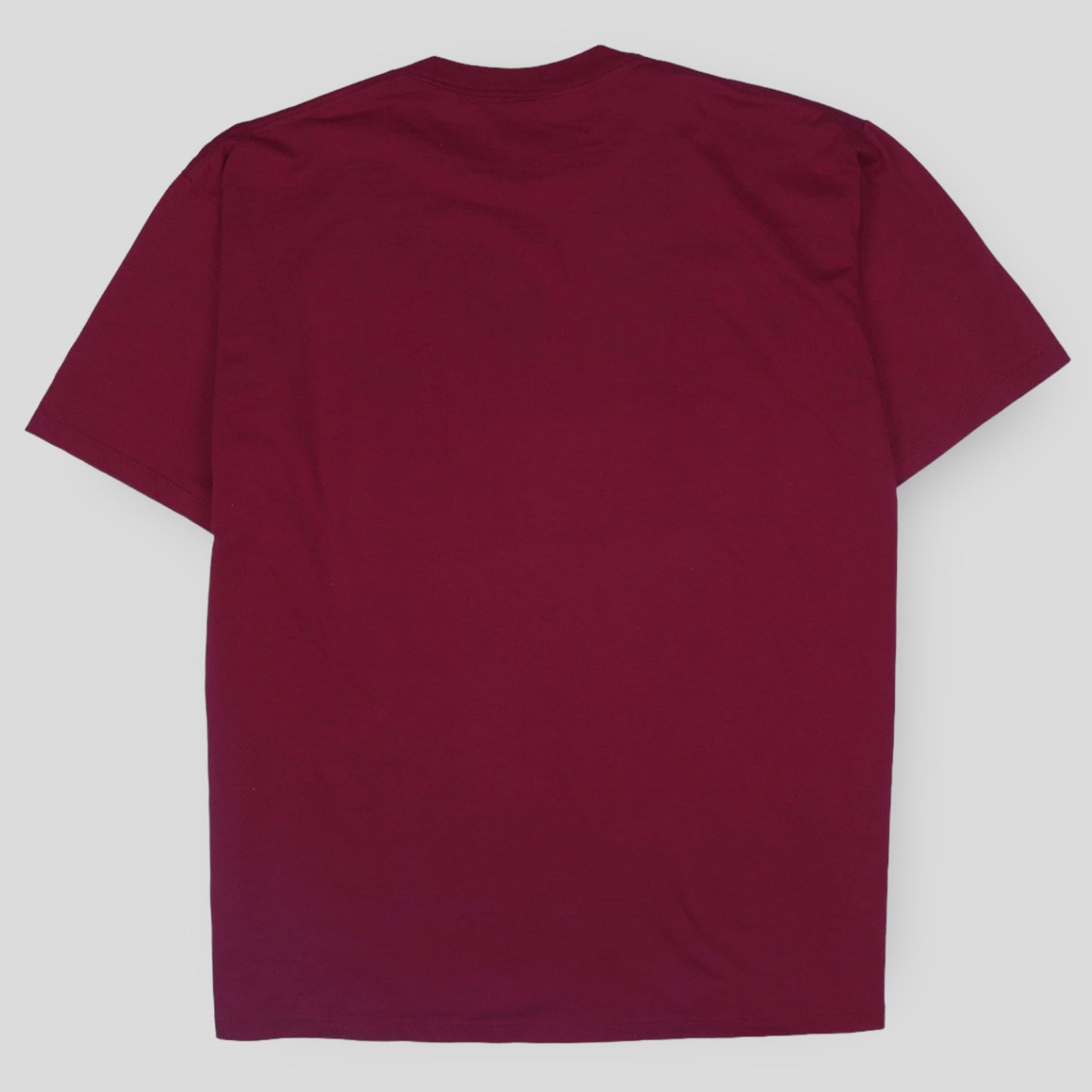 1995 Arkansas National Champions T-Shirt - backtovida