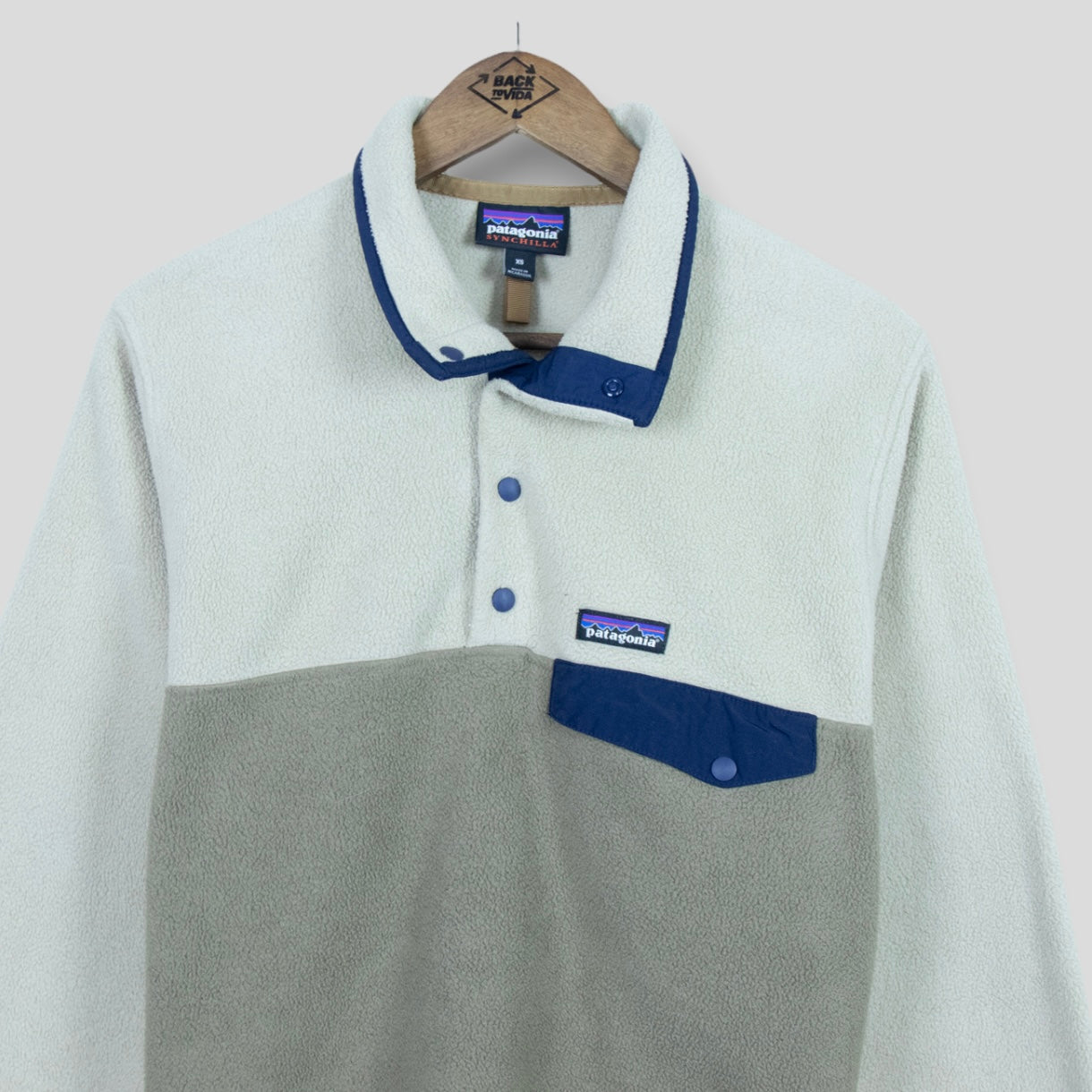 Patagonia Synchilla Fleece Pullover - backtovida