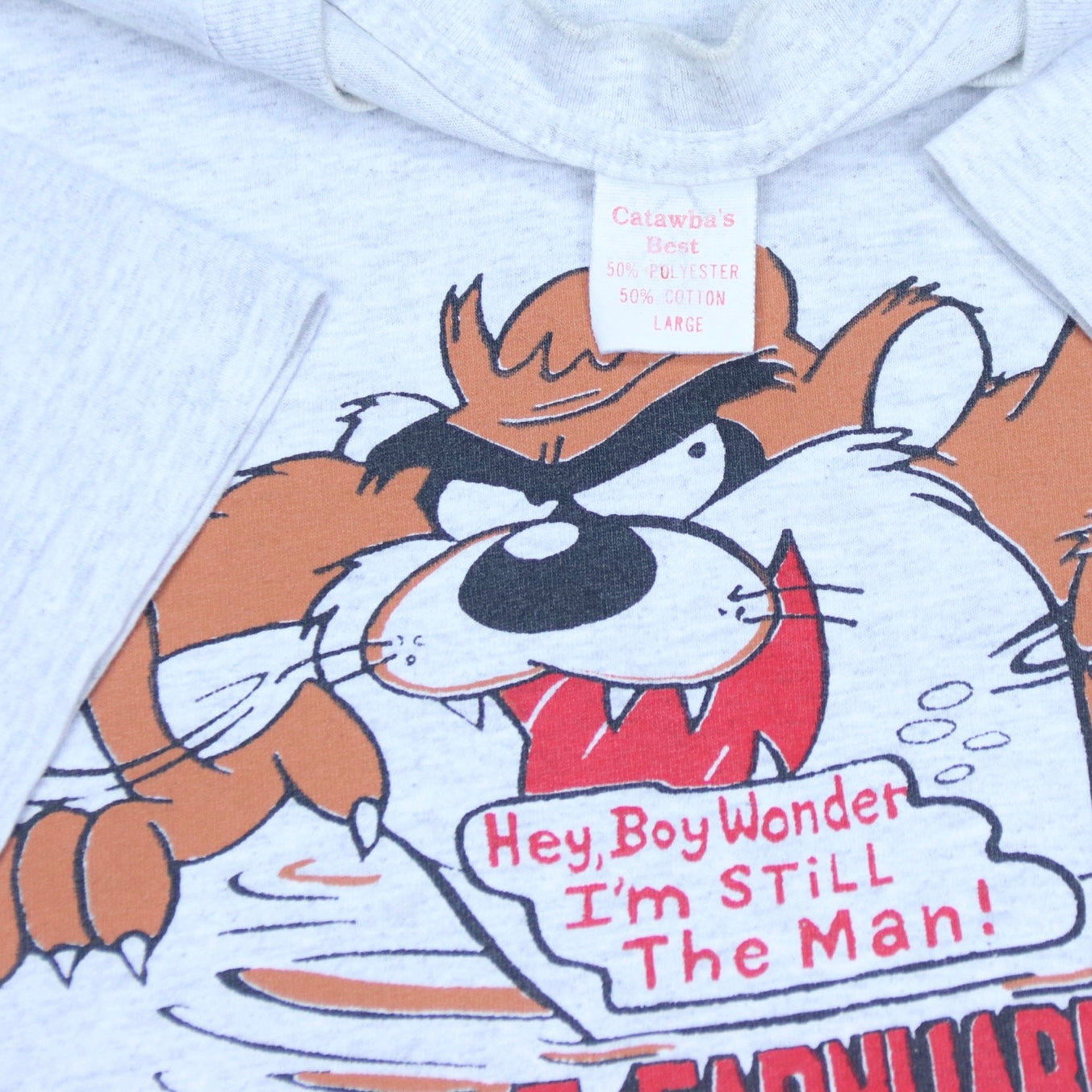 1997 Dale Earnhardt X Taz Vintage Racing T-Shirt - backtovida