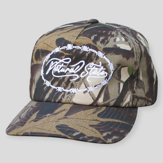 NATURAL STATE BTV CAP