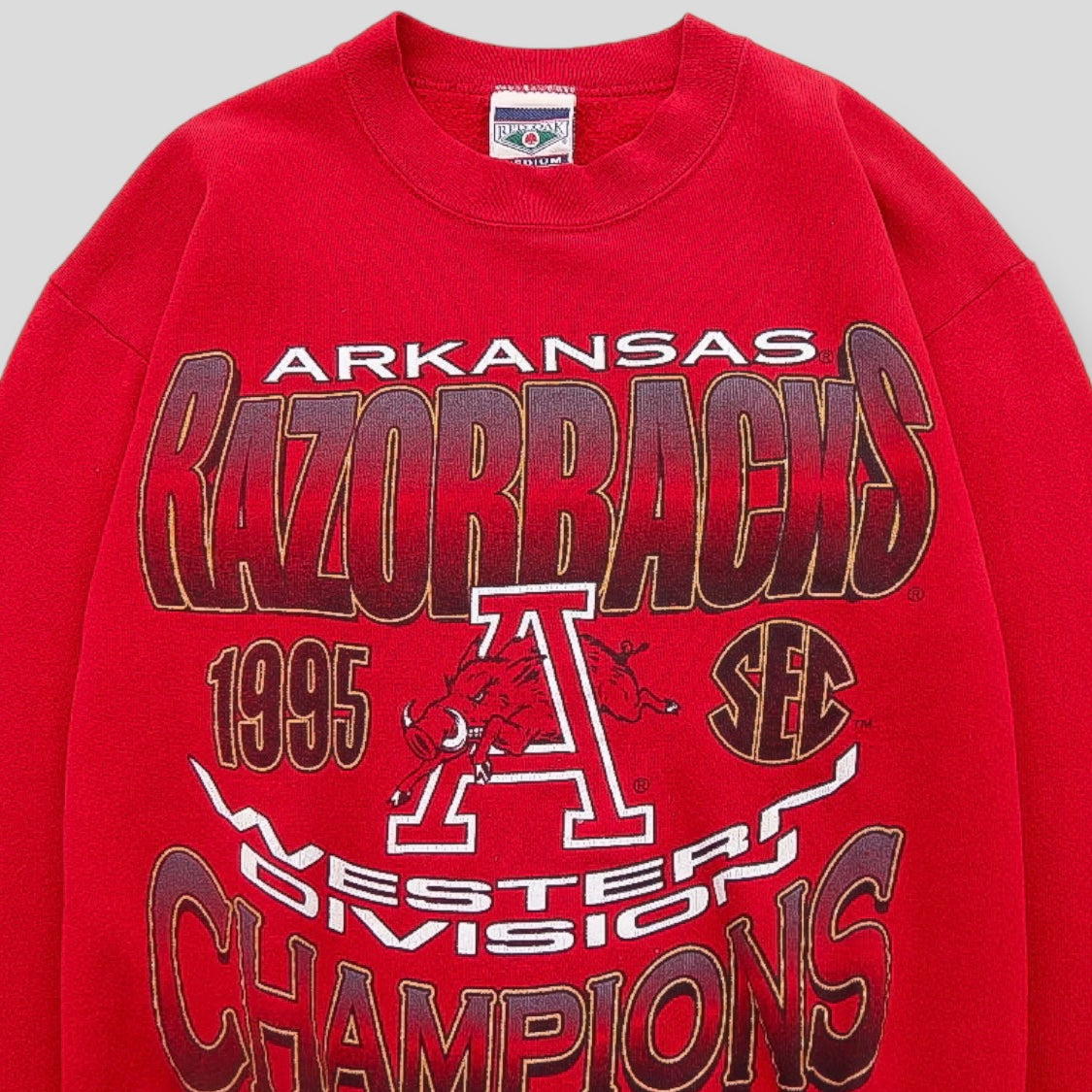 1995 Arkansas Razorbacks Western Division Champions - backtovida