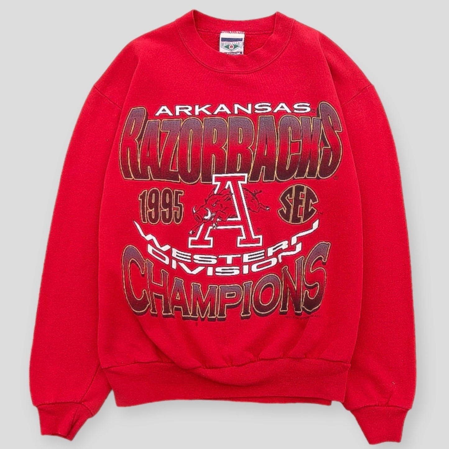 1995 Arkansas Razorbacks Western Division Champions - backtovida