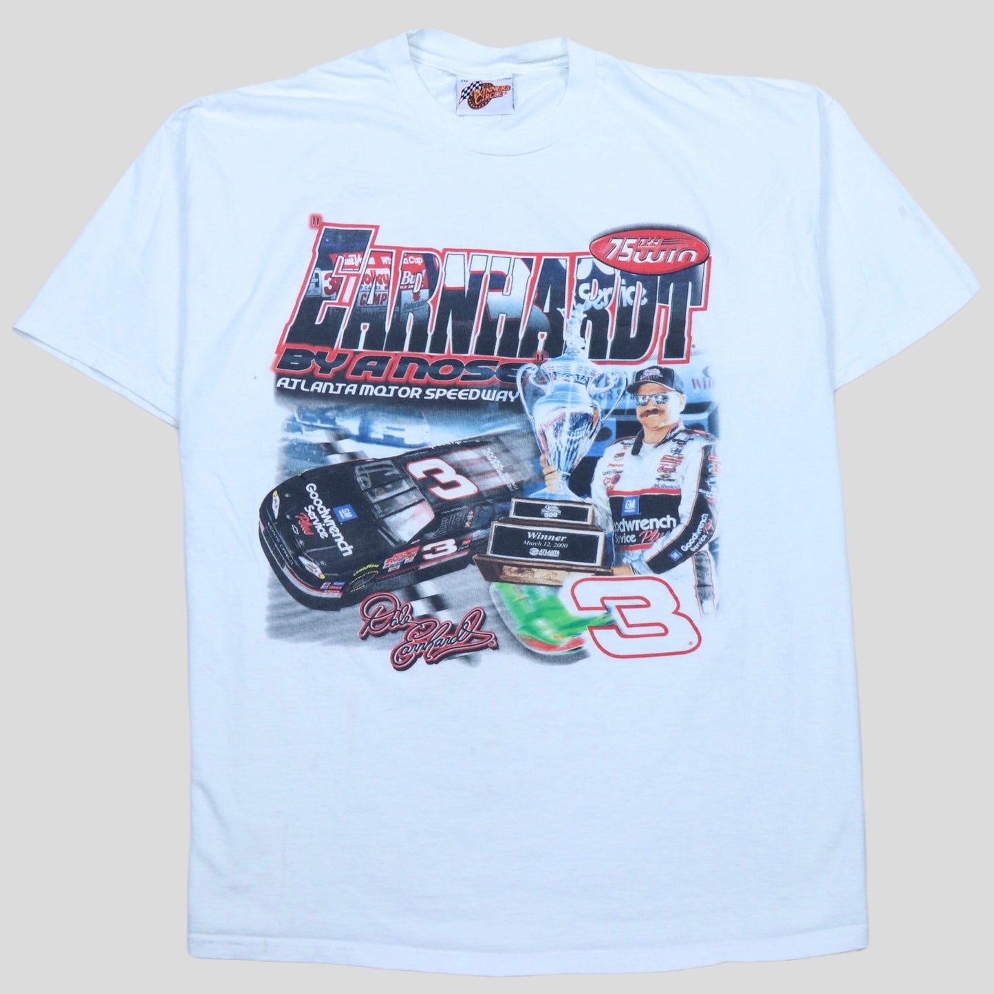 Vintage Dale Earnhardt Championship T-Shirt - backtovida