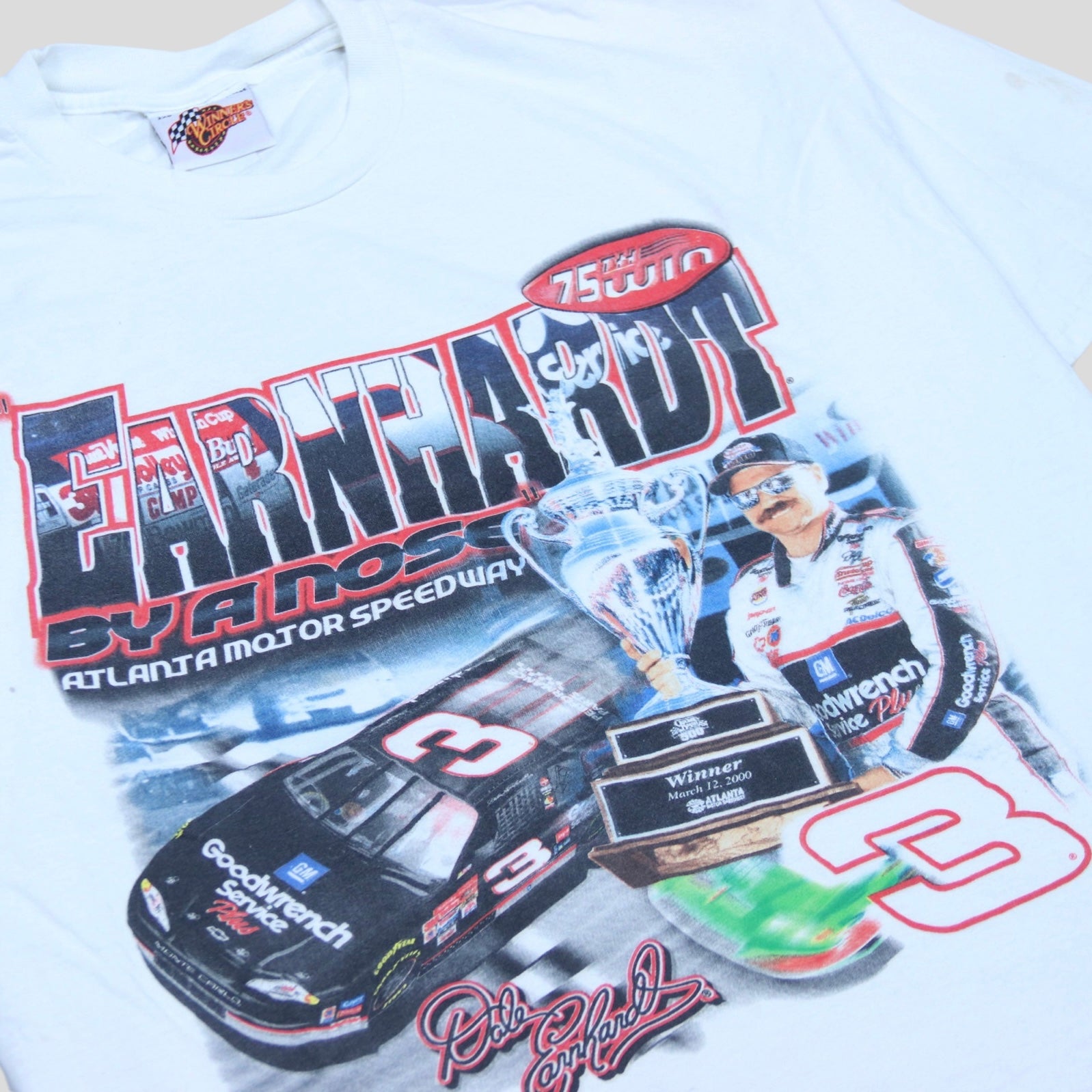 Vintage Dale Earnhardt Championship T-Shirt - backtovida