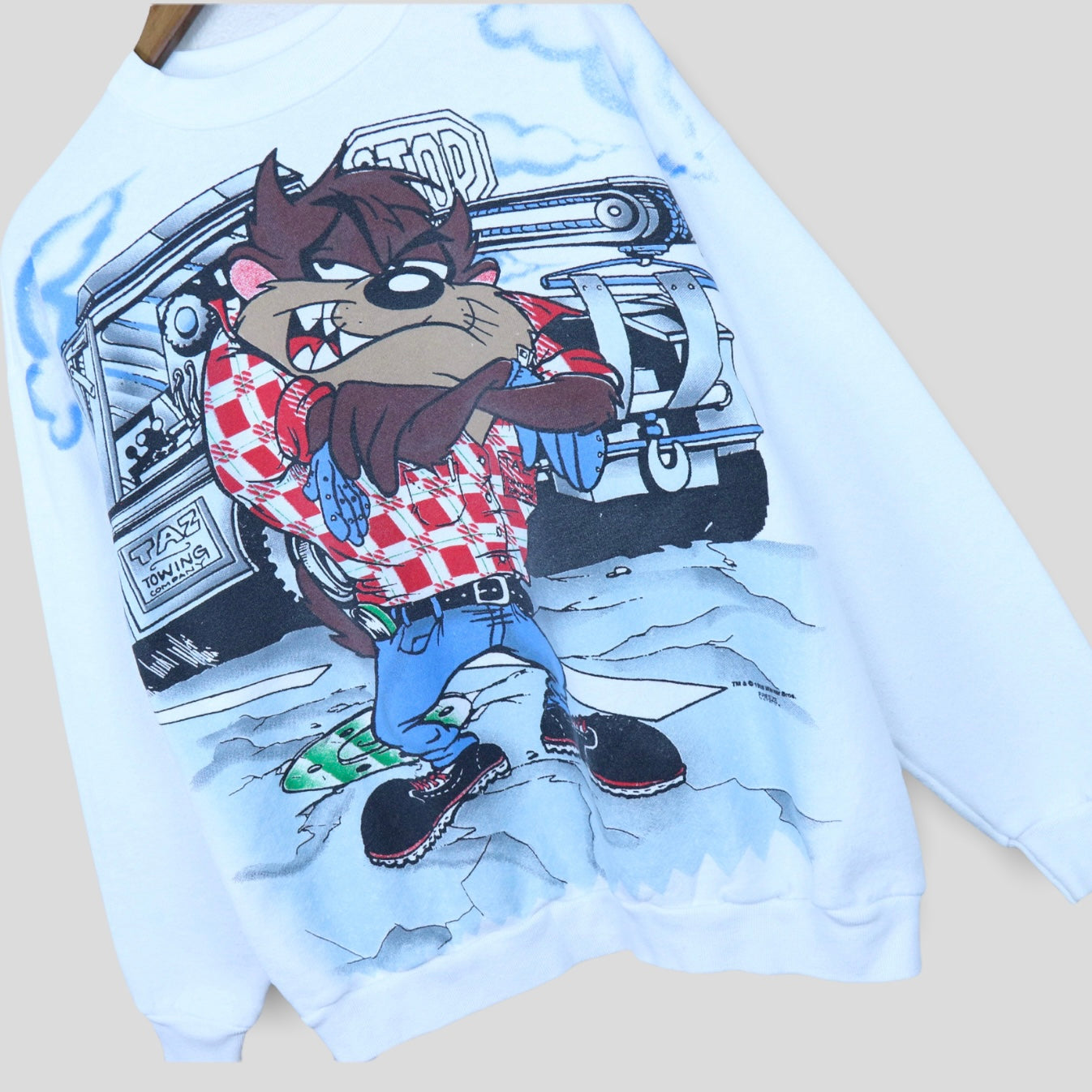 1995 Taz Looney Tunes Sweatshirt - backtovida