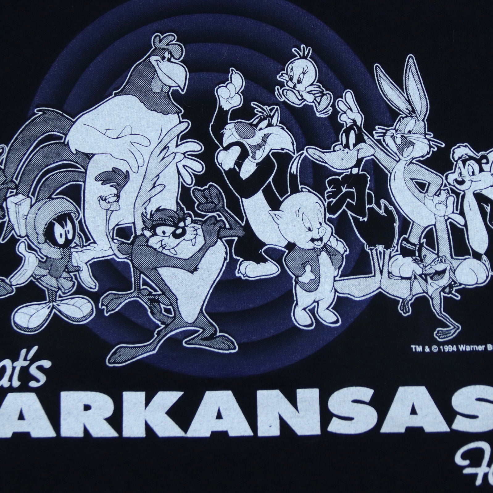 1994 Arkansas X looney Tunes T Shirt - backtovida